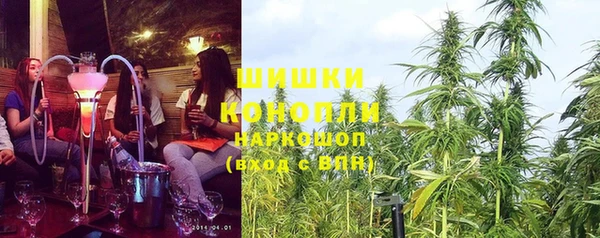 ешки Верхний Тагил