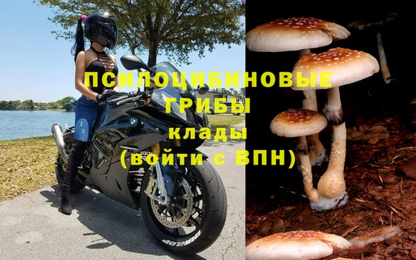 мескалин Бородино