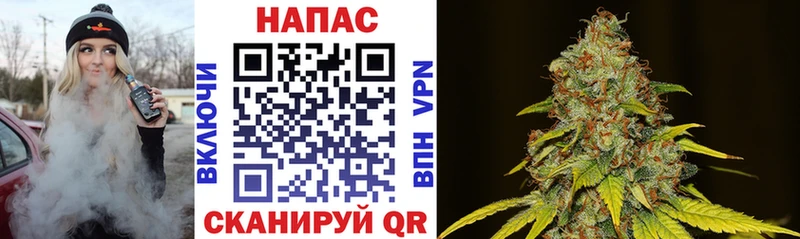 mega сайт  Канаш  Марихуана SATIVA & INDICA 